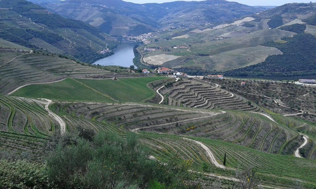 Vistadouro Peso da Régua Buitenkant foto